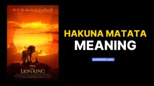 Hakuna Matata meaning - The Lion King - SochMint